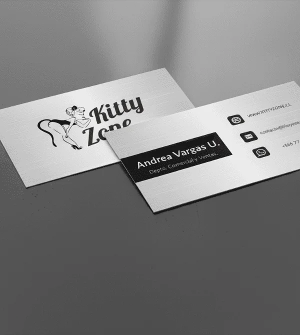 Kitty Zone Branding